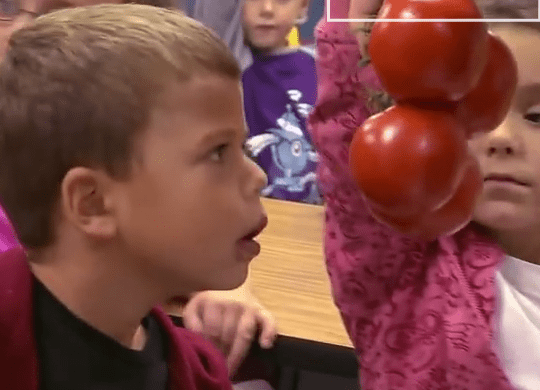 The following pics are screenshots from Jamie Oliver's t.v. show. He asked a bunch of grade schoolers what the following vegetables were. Apparently, these are potatoes. 