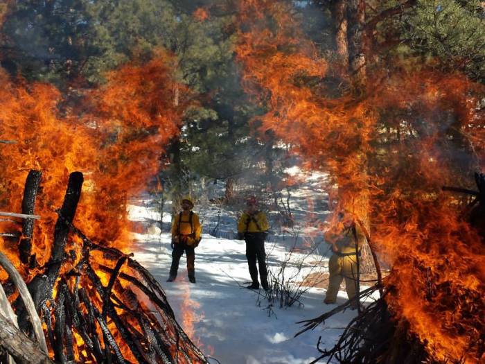 1012748_10151871941408721_1347318295_n