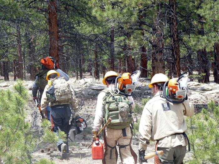 922971_10151471148363721_816809102_n